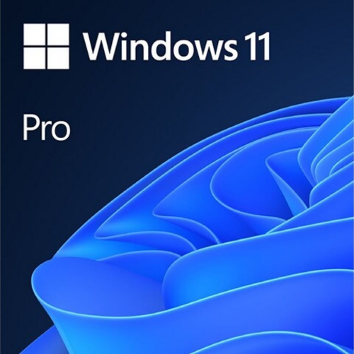 Microsoft%20Windows%2011%20Pro%2032/64%20Bit%20TR-ING%20ESD%20Elektronik%20Lisans%20(FQC-10572)