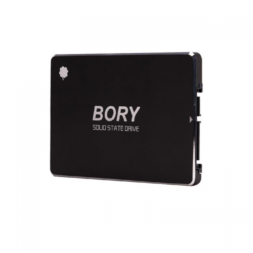 BORY%20R500-C256G%20256Gb%20550/510%20SATA3%20SSD