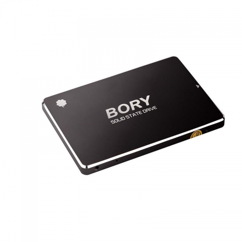 BORY%20R500-C256G%20256Gb%20550/510%20SATA3%20SSD